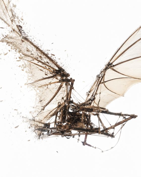 Der hölzerne Vogelflug