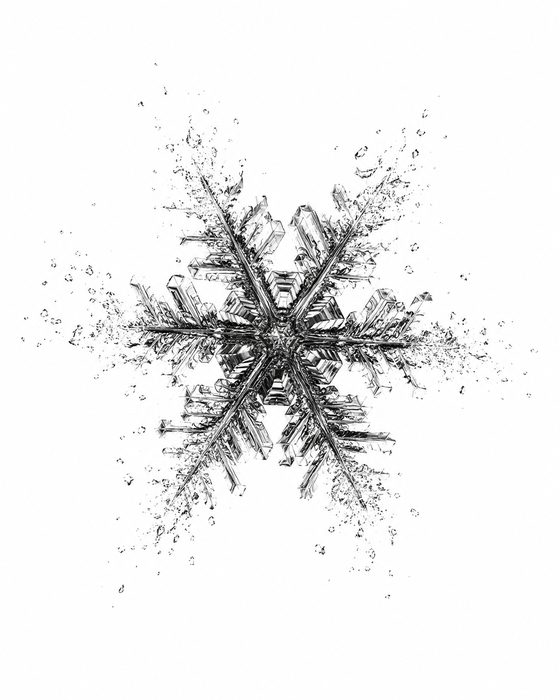 Die gefrorene Symmetrie