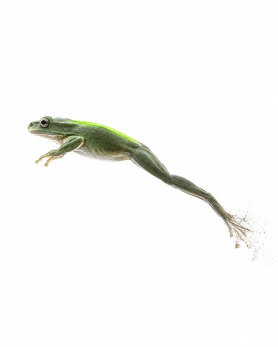 Die gestreckte Parabel