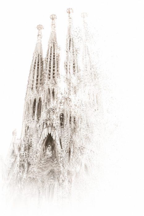 Die organische Kathedrale