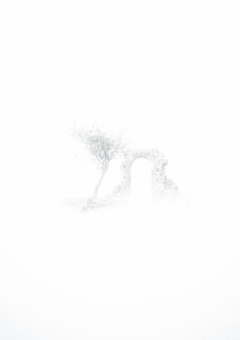 Surreal & Künstlerisch