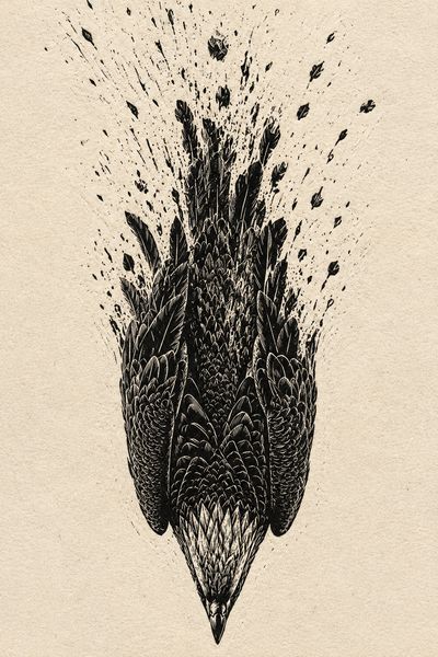 Absturz eines stilisierten Vogels