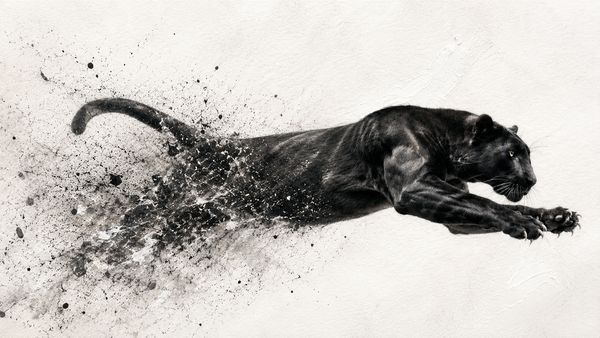 Die explosive Beschleunigung