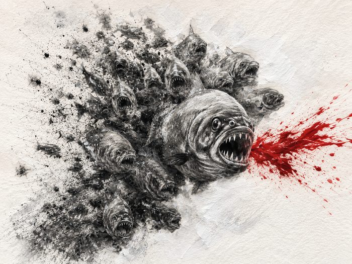 Piranha-