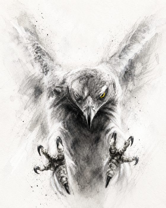 Raubvogel