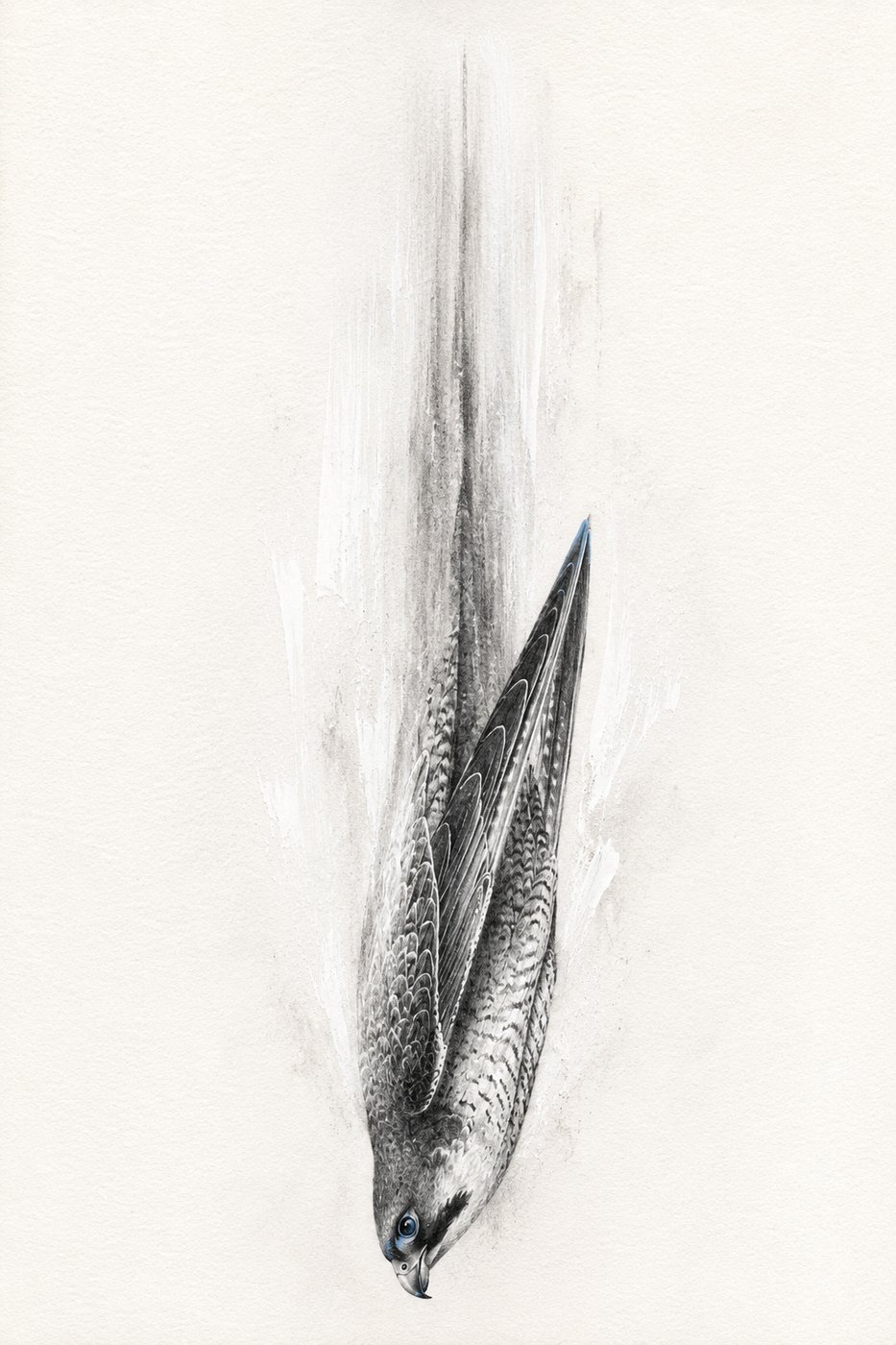 Falke