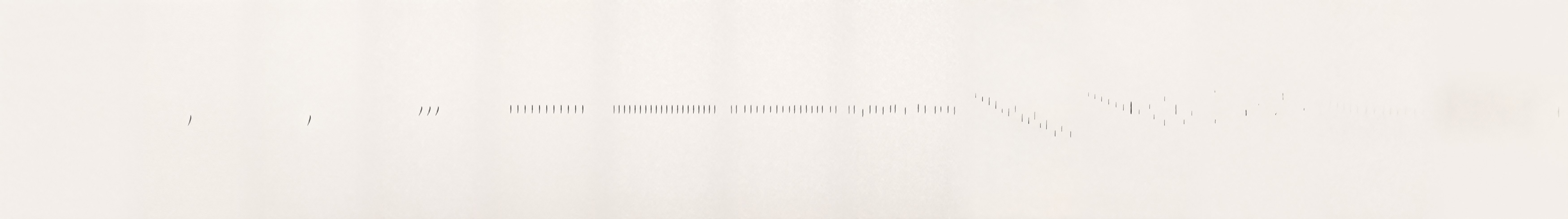 PANORAMA — Fünf Parameter. 300 × 42 cm. Drei Meter Papier, eine Linie: vereinzelte Atemzeichen, ein gleichmäßiger Takt, auflaufende Masse, eine fallende Staffel, Verklingen ins Papier.
