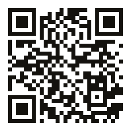 QR K1029