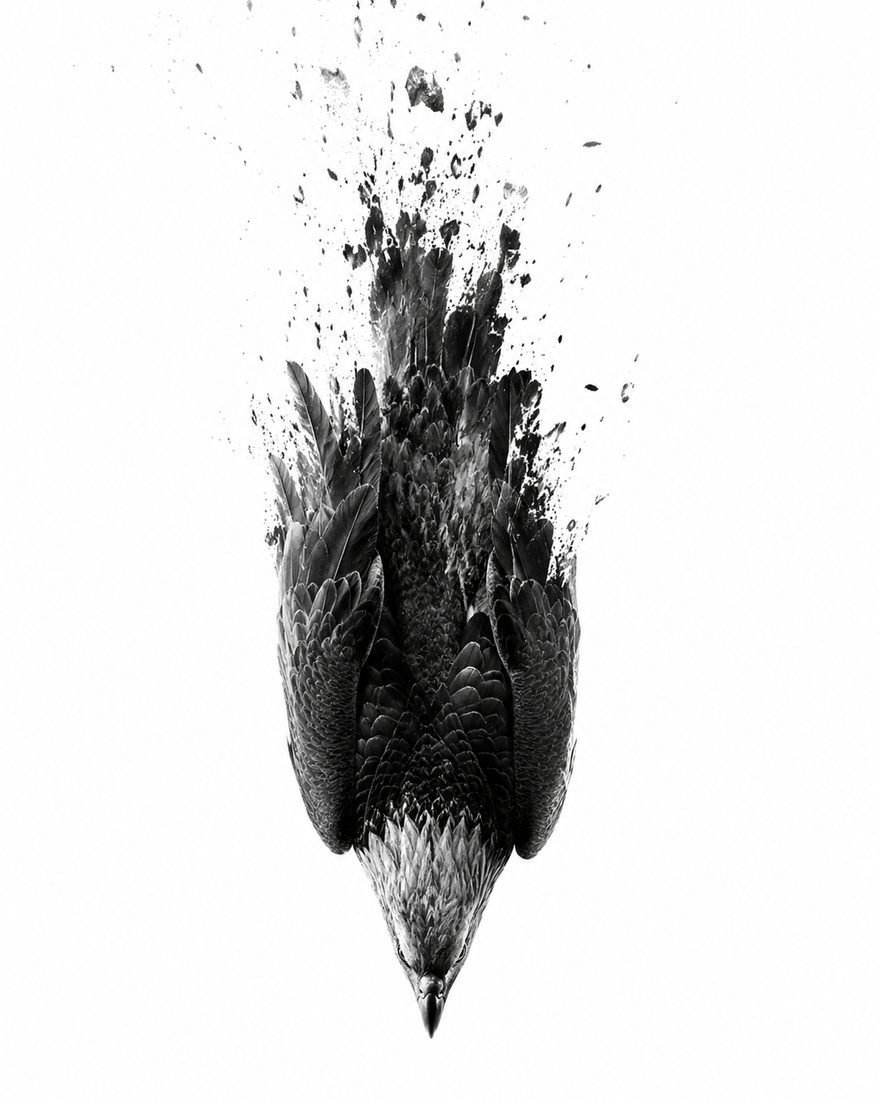 Kohle · Graphit