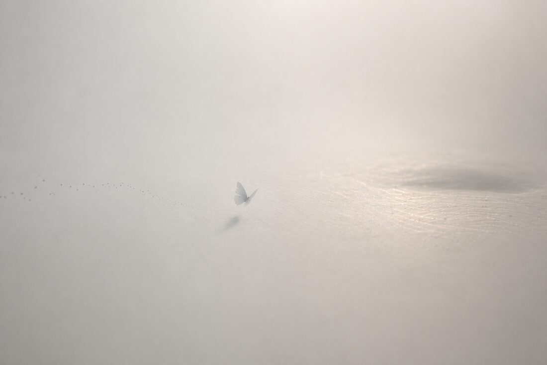 Sanfte Boten im Nebel III